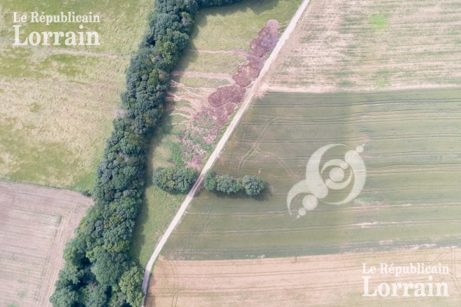 un-nouveau-mysterieux-crop-circle-da-ete-decouvert-au-cours-du-week-end-dans-la-campagne-sarrebourgeoise-photo-dr-1528724819.jpg