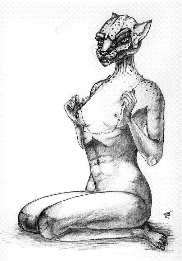 She-Cat 1.JPG