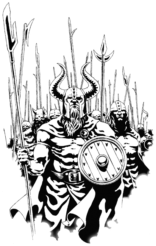 vviking2.jpg