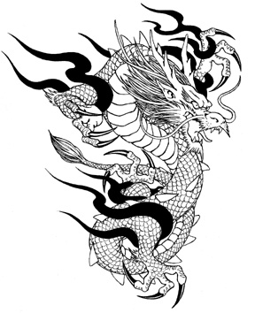 tatou 4.jpg